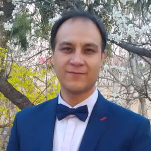 seyedmojtabahoseini